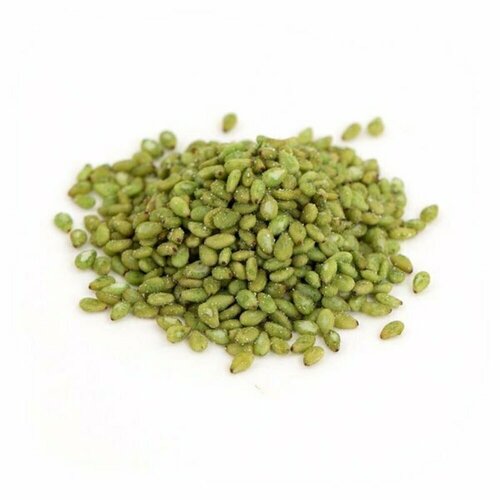 159311 Graine de sésame au wasabi en sachet 500 g TERRE EXOTIQUE