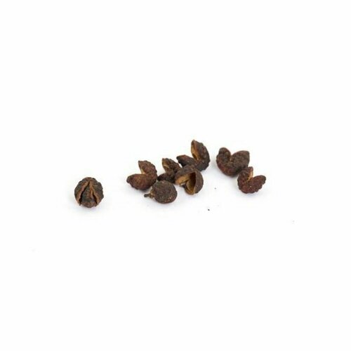 153758 Baie de Timur en sachet 500 g TERRE EXOTIQUE