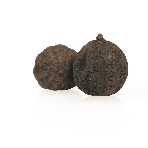 244923 Citron noir séché en sachet 100 g TERRE EXOTIQUE
