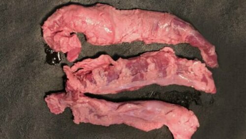 0192441 - Hampe de porc race Duroc 500 g env.