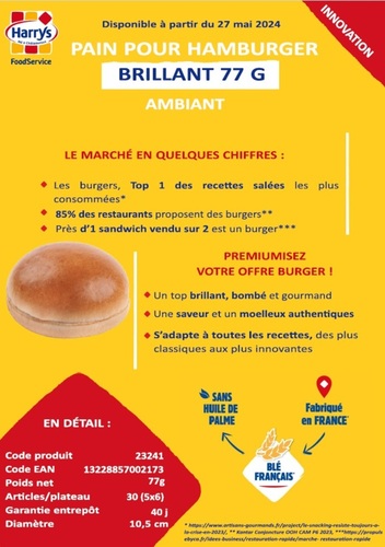Burger Brillant 77g