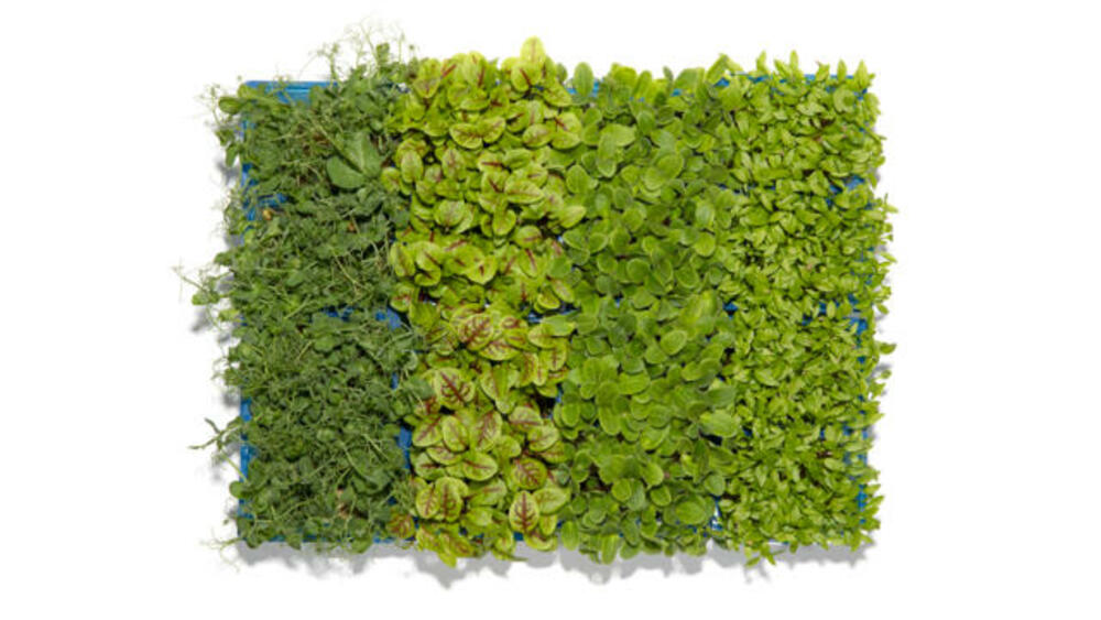 Spring Mix