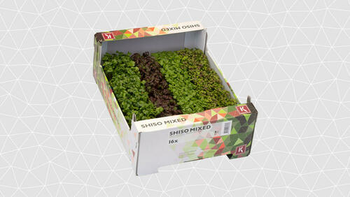 Shiso Mixed