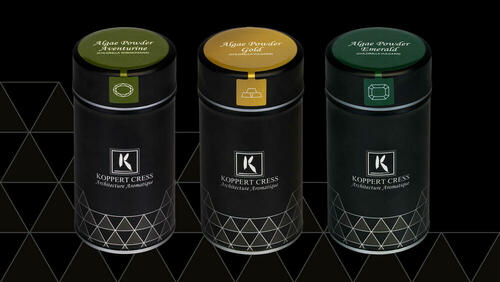 Algae Powder Aventurine, Emerald & Gold