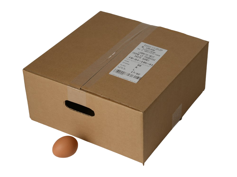 Oeufs Biologiques