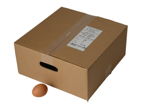 Oeufs Biologiques