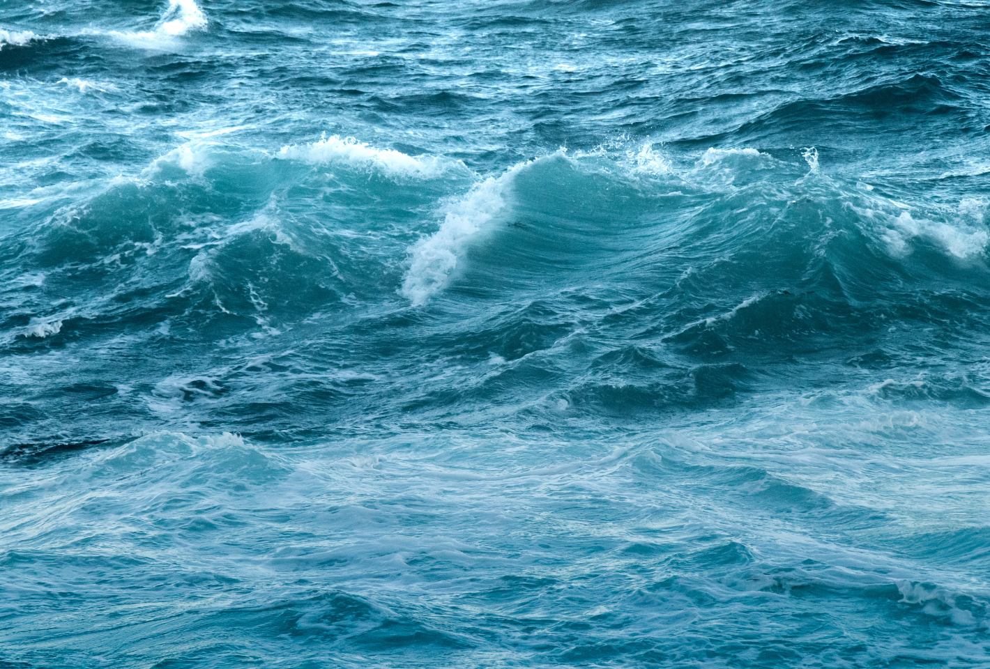 Taking Inspiration from the Ocean by Eva Lagarde