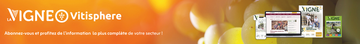 bannière vitisphere