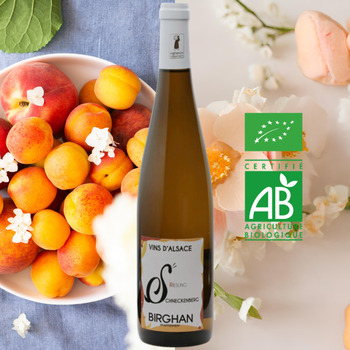 Riesling - Lieu-dit Schneckenberg