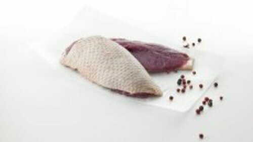 222488 / Filet de canette de barbarie VF 150/200 g 