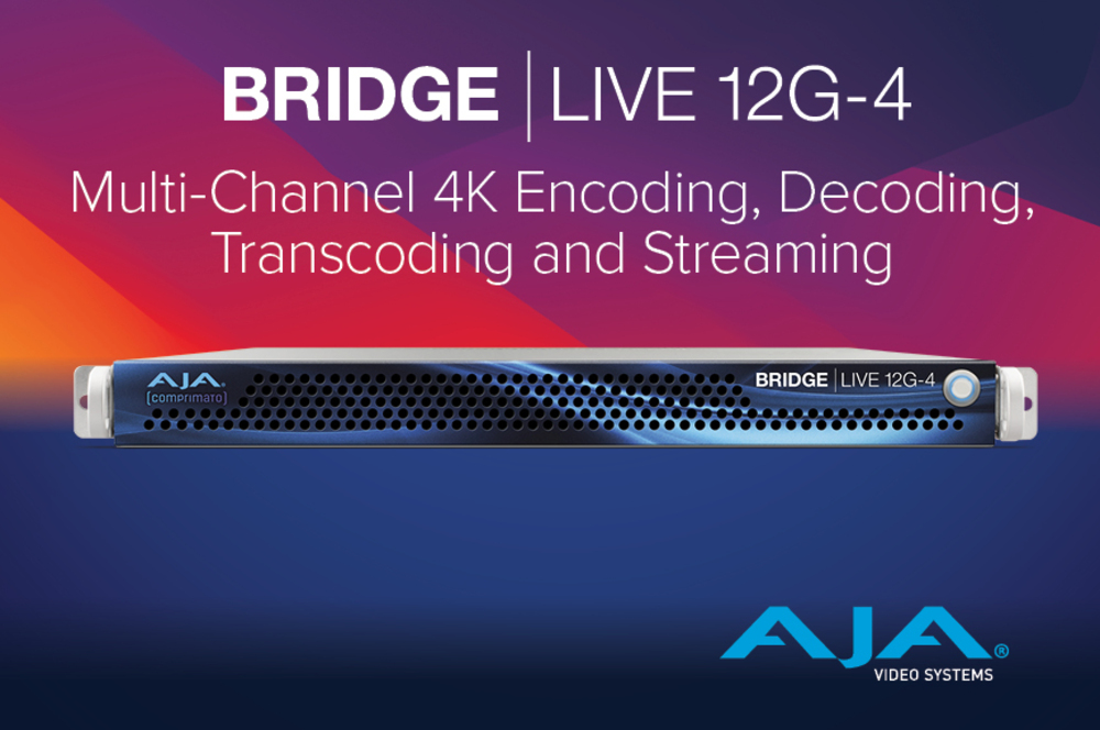 BRIDGE LIVE Family 
