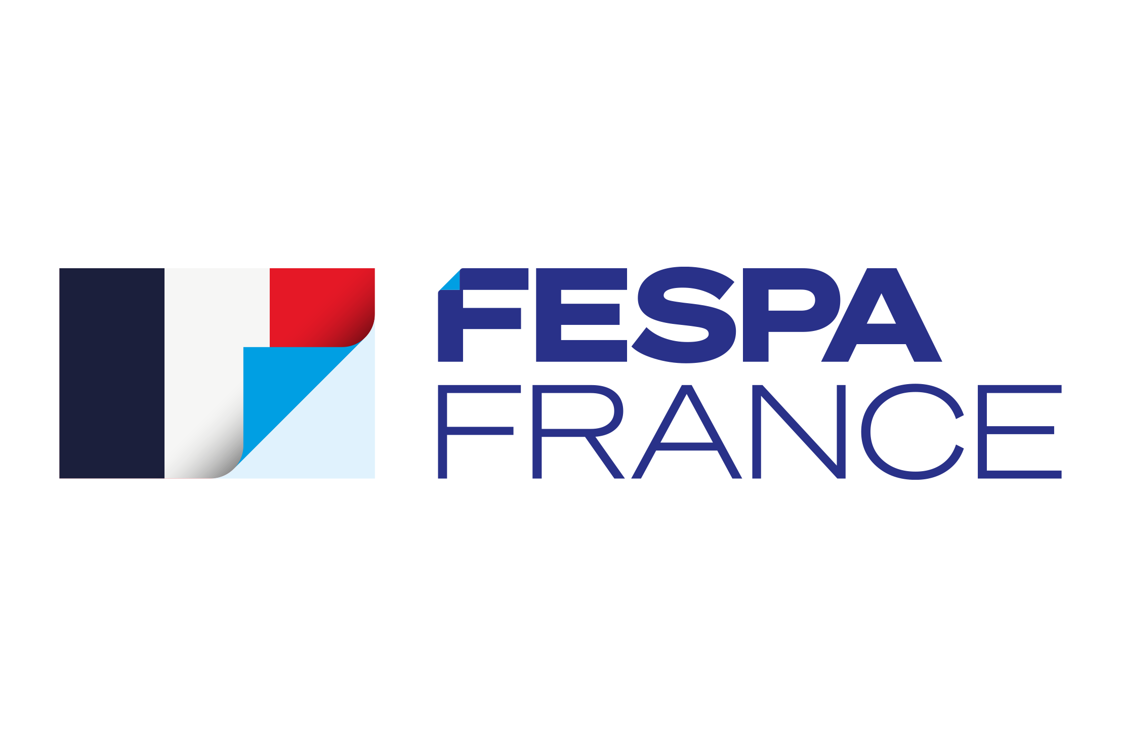 Logo - APEI - FESPA France