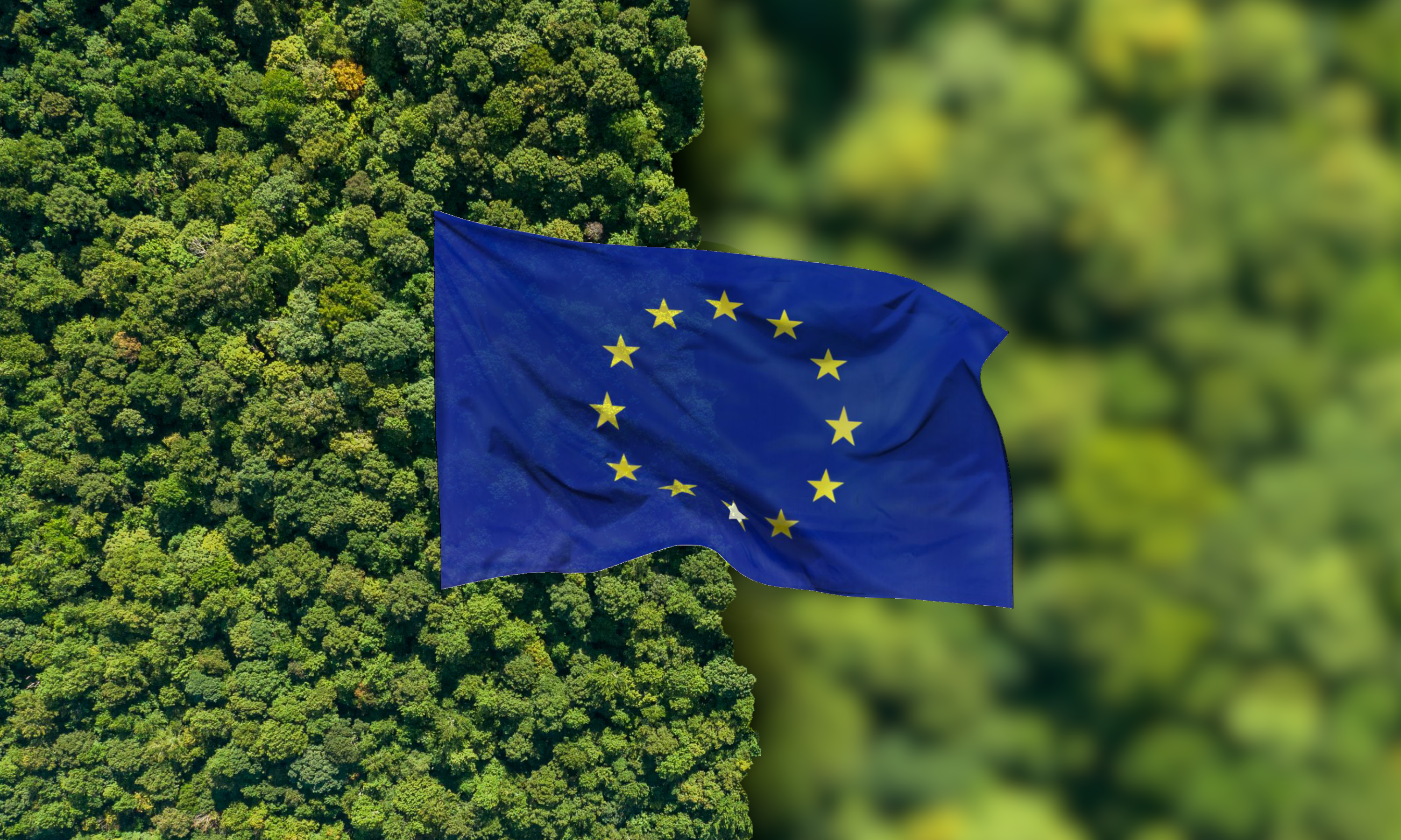 NL_0525_Décarbonation Cepi_Photos BLOG2