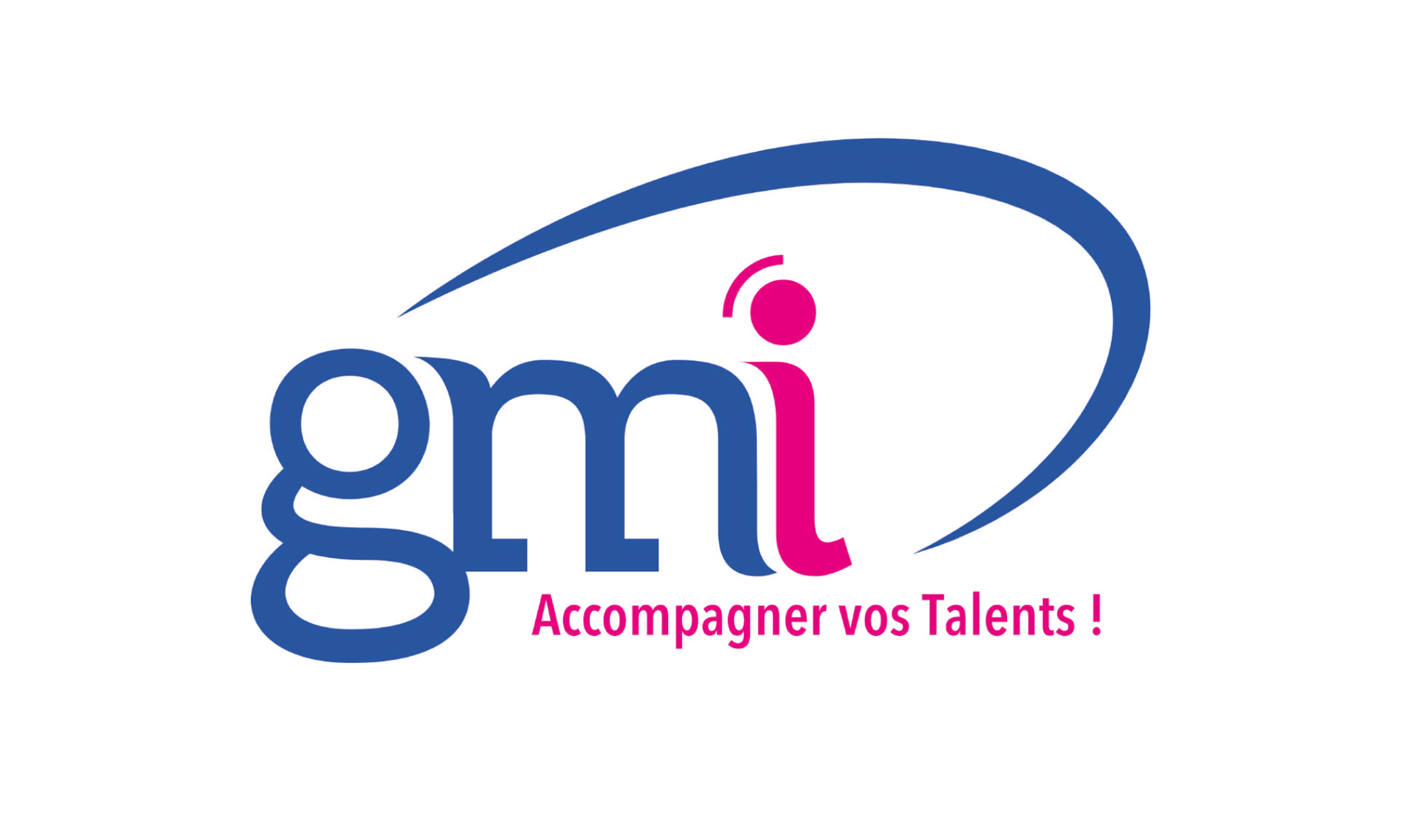 Logo - APEI - GMI