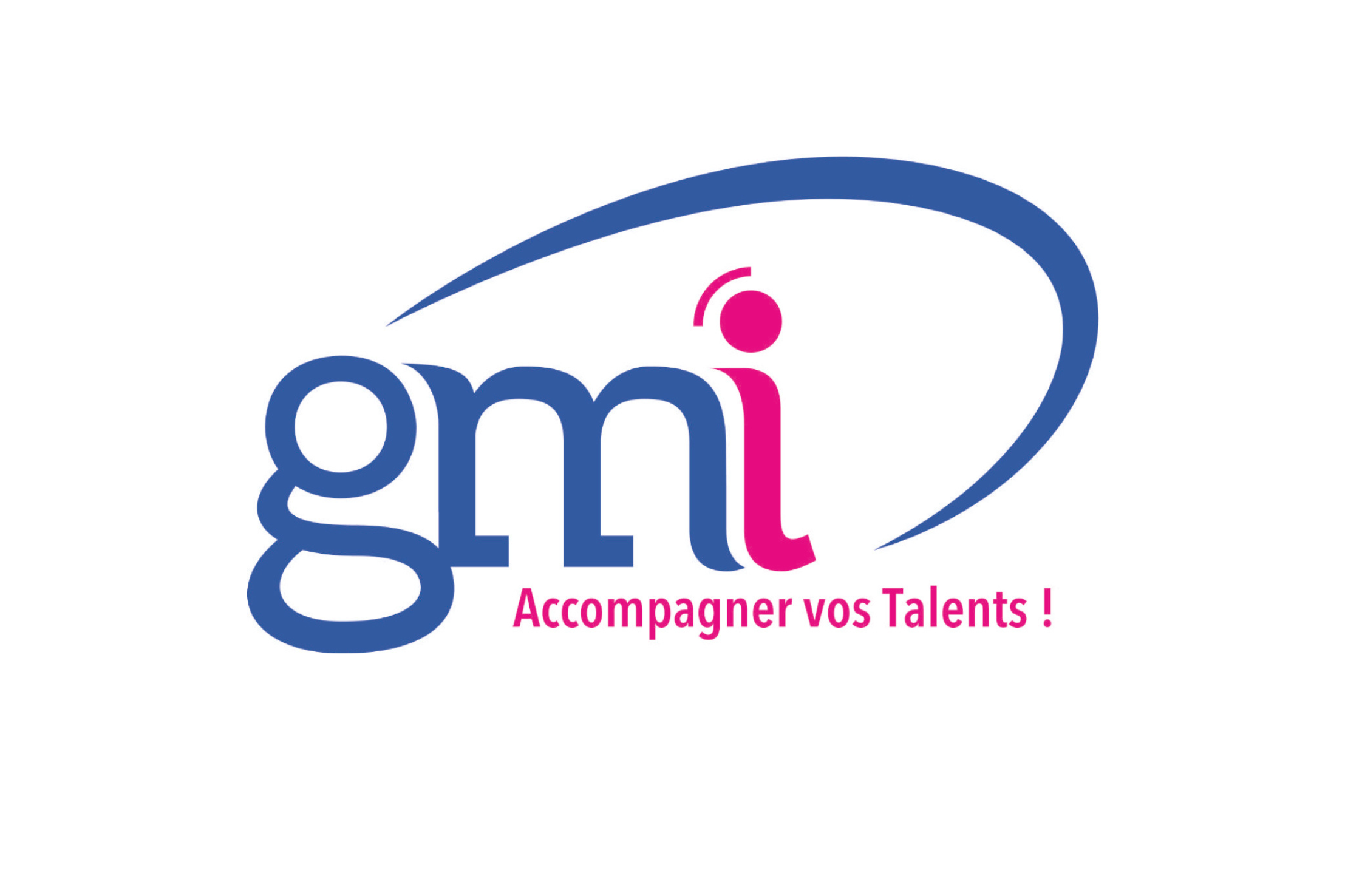 Logo_Partenaire_GMI