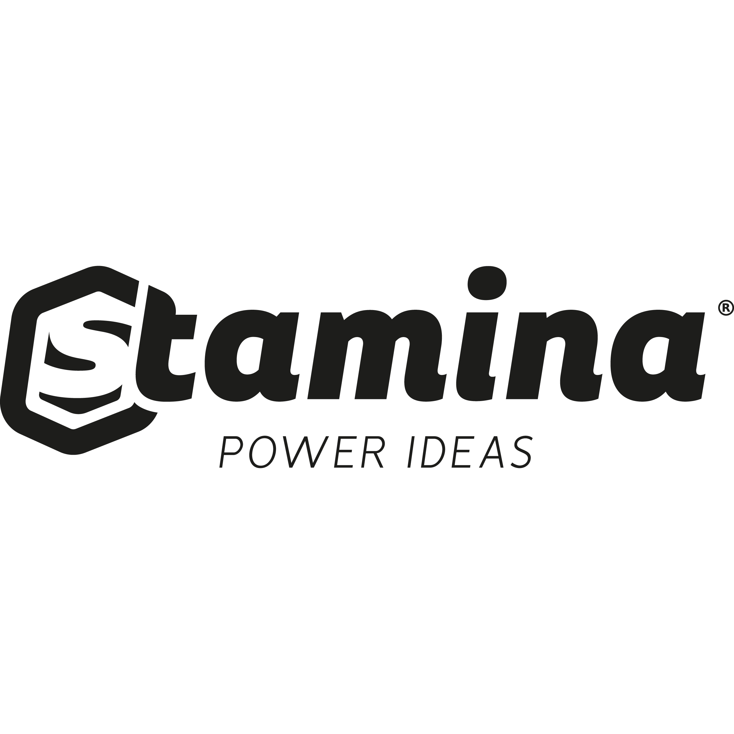 Logo STAMINA