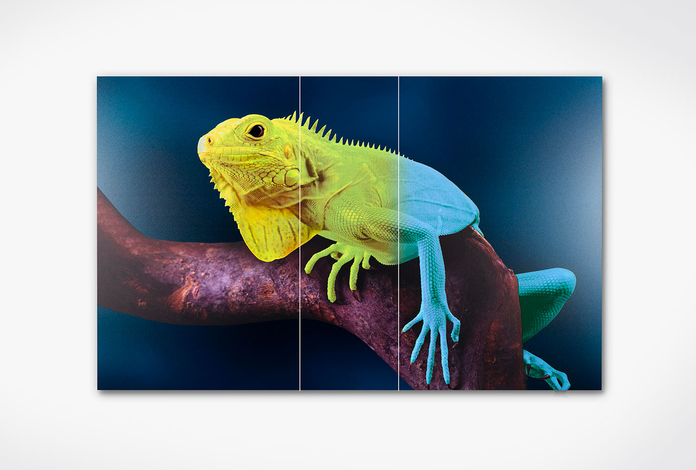 Ejemplo de impresión en pirámide: Las líneas verticales indican tres ángulos de visión diferentes: amarillo visto desde la izquierda, verdoso con visión frontal, azul visto desde la derecha.