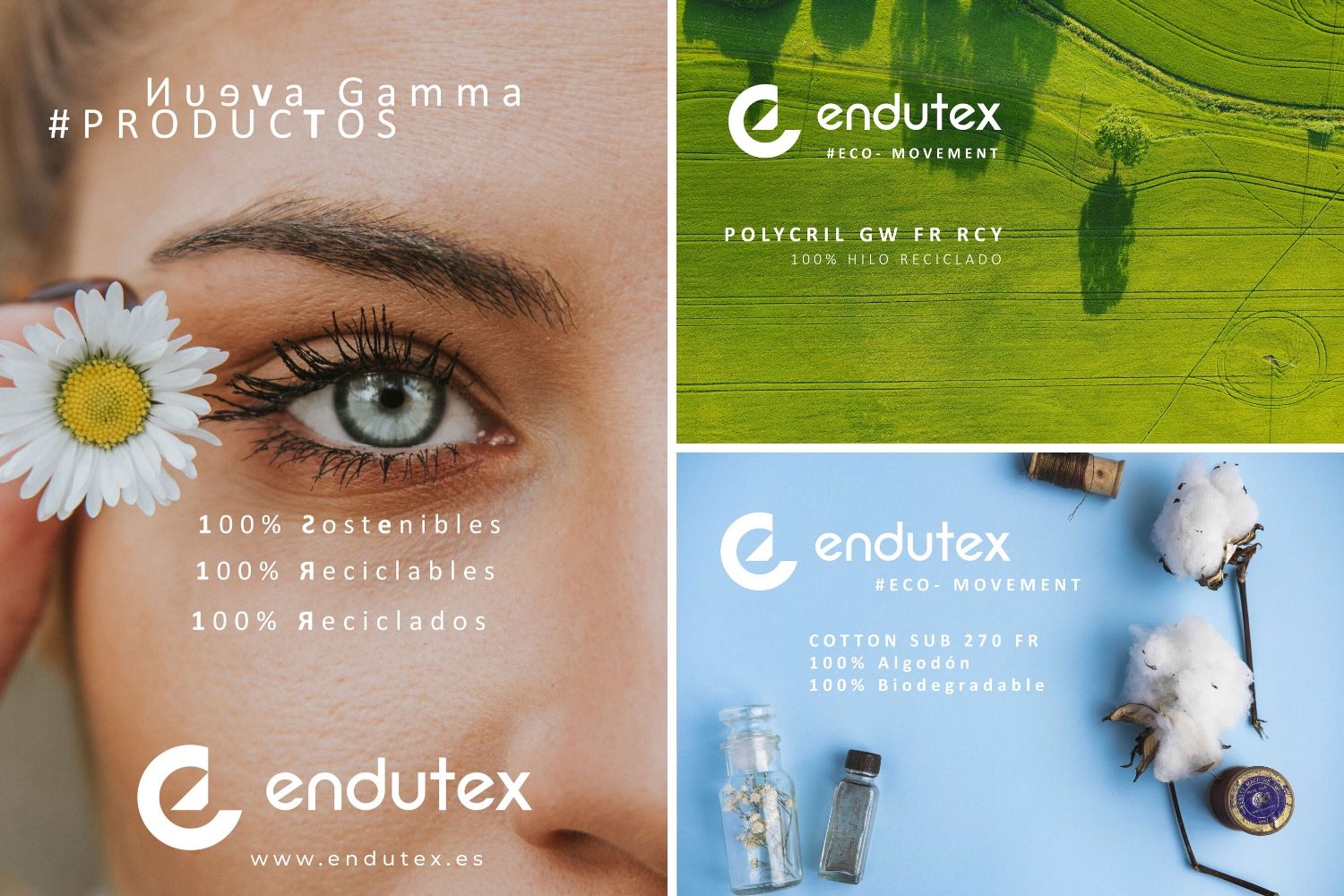 “Our strategy is based on maintaining sustainable growth”