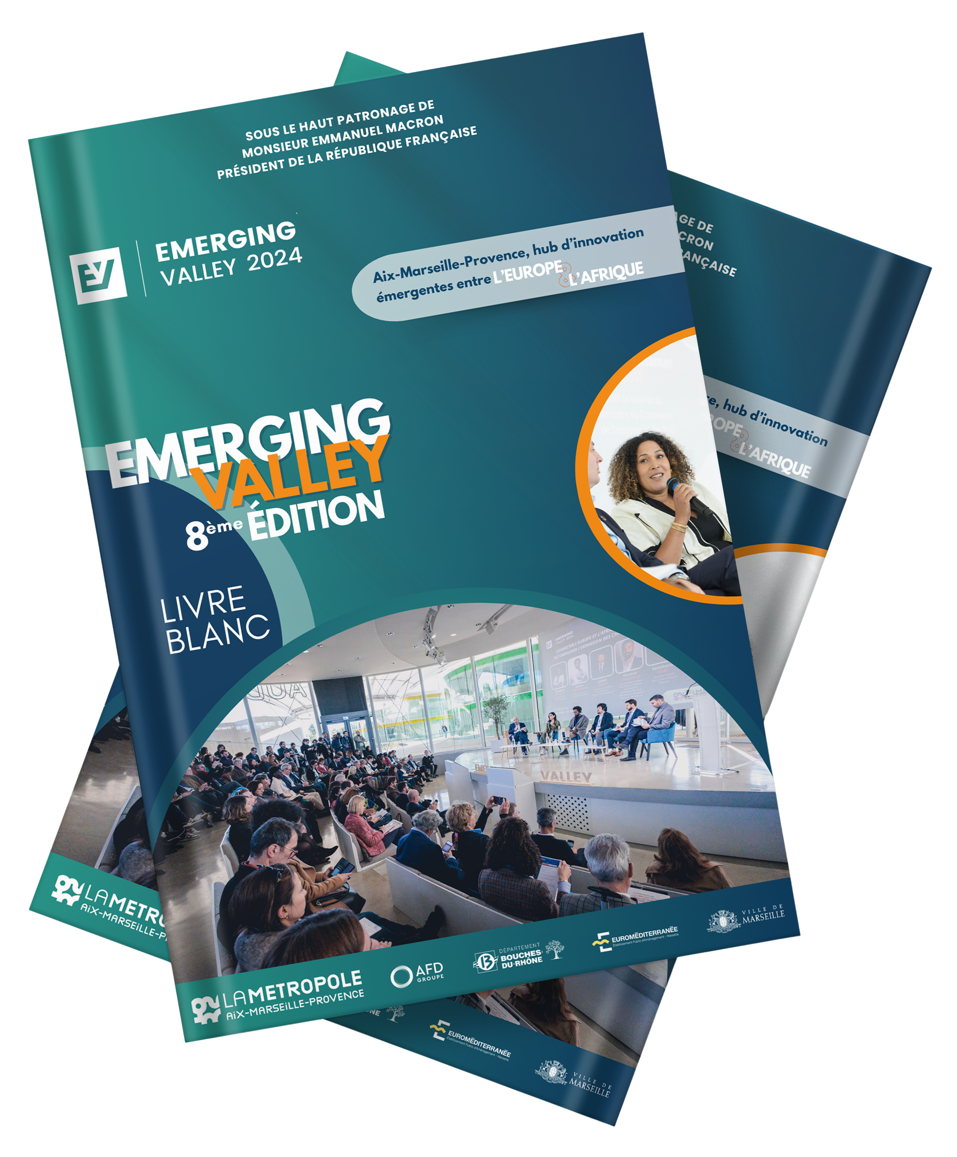 livreblanc emerging valley