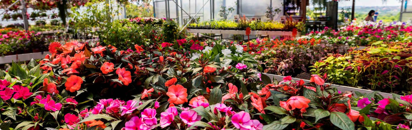 La jardinerie cultive l'excellence