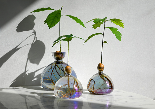 Acorn Vase
