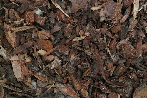 Pine bark 40L bag