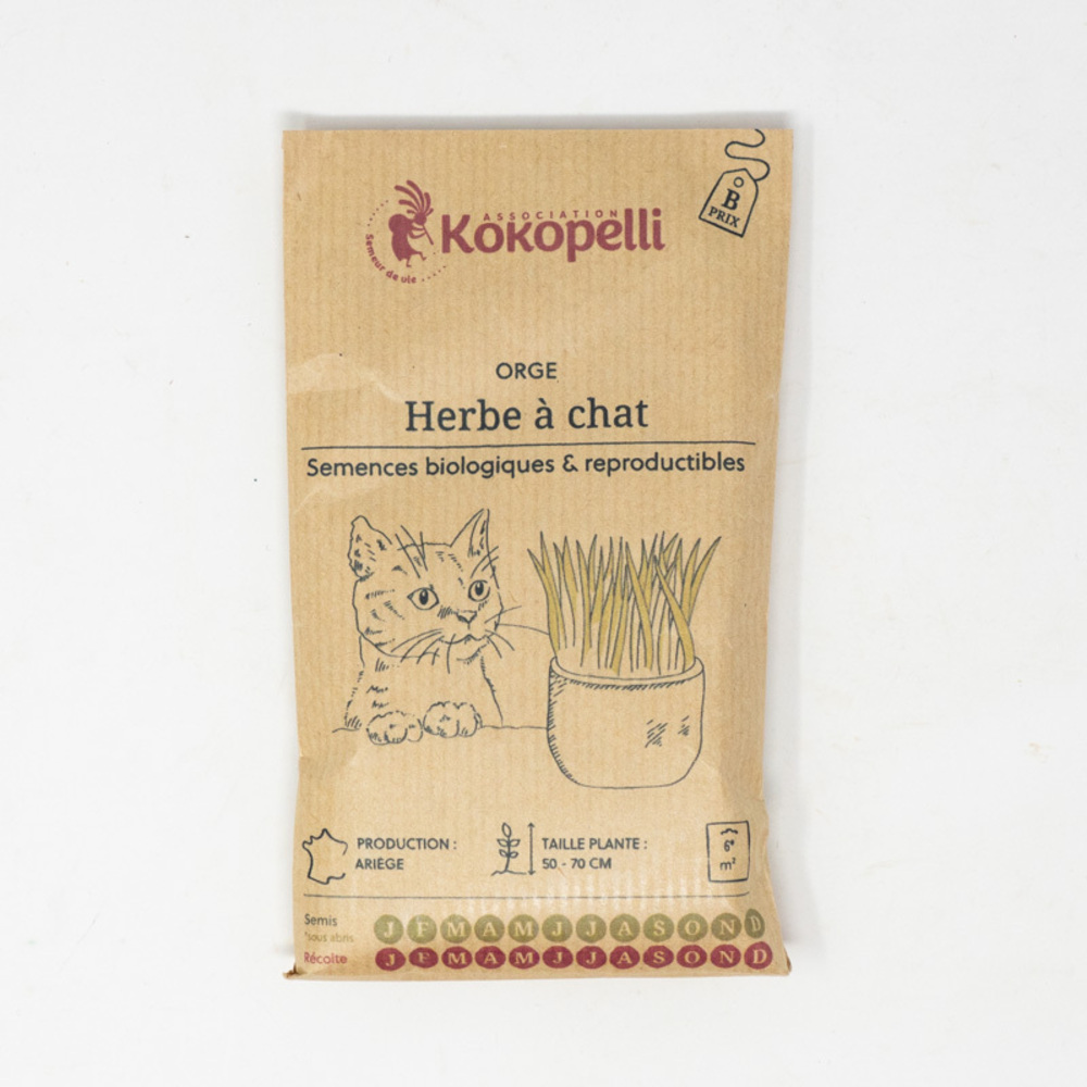 Herbe à Chat - Graines bio à semer