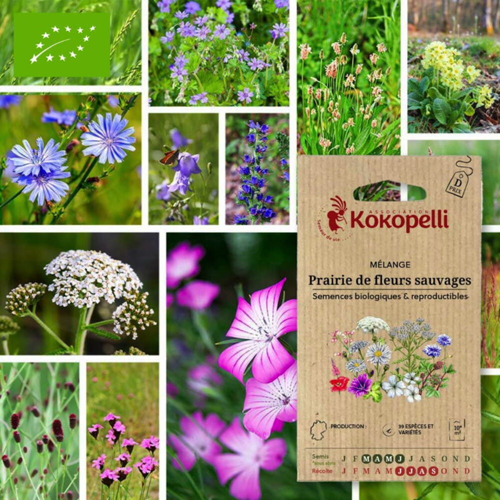 Mélange de graines bio Fleurs pour la cuisine