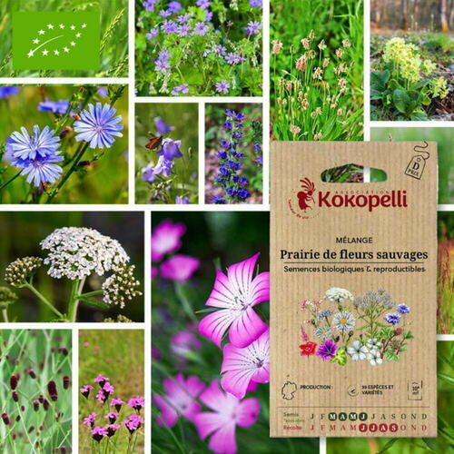Mélange de graines bio Fleurs pour la cuisine