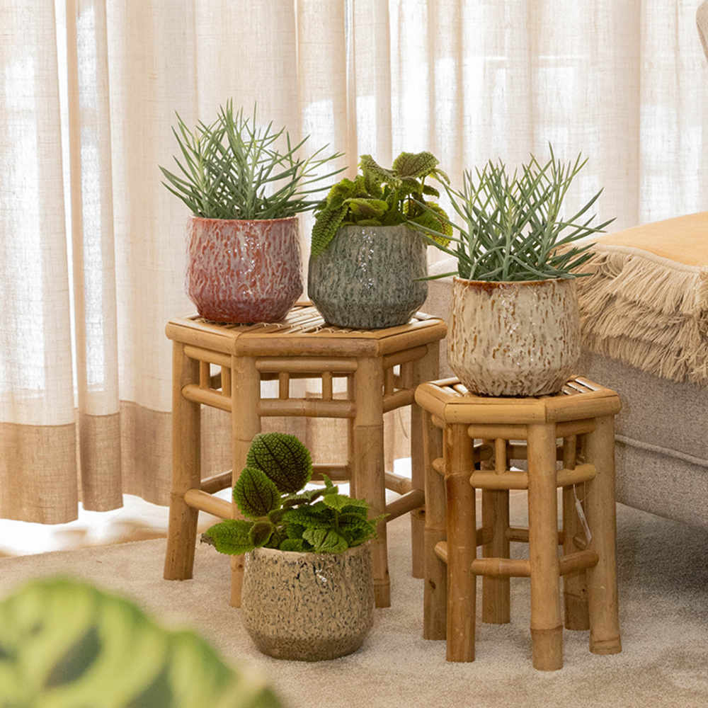 Fave - Indoor pottery