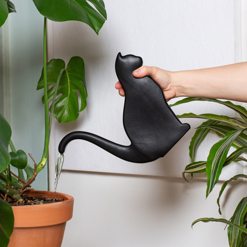 Arrosoir chat