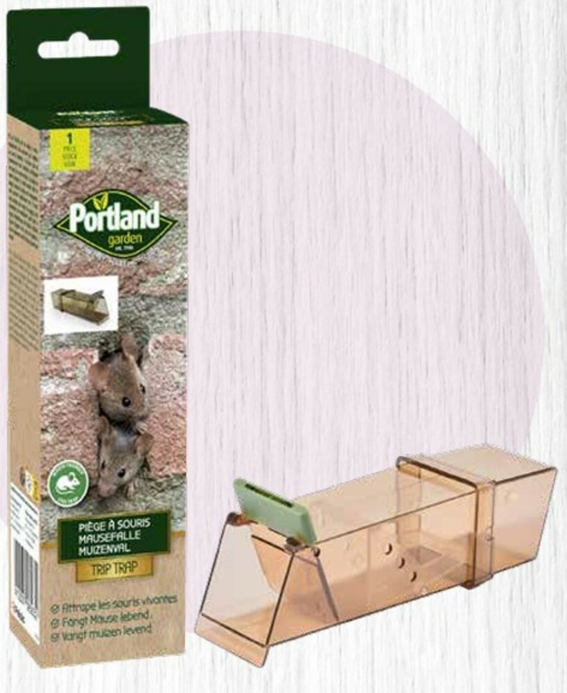 PIÈGE À SOURIS 