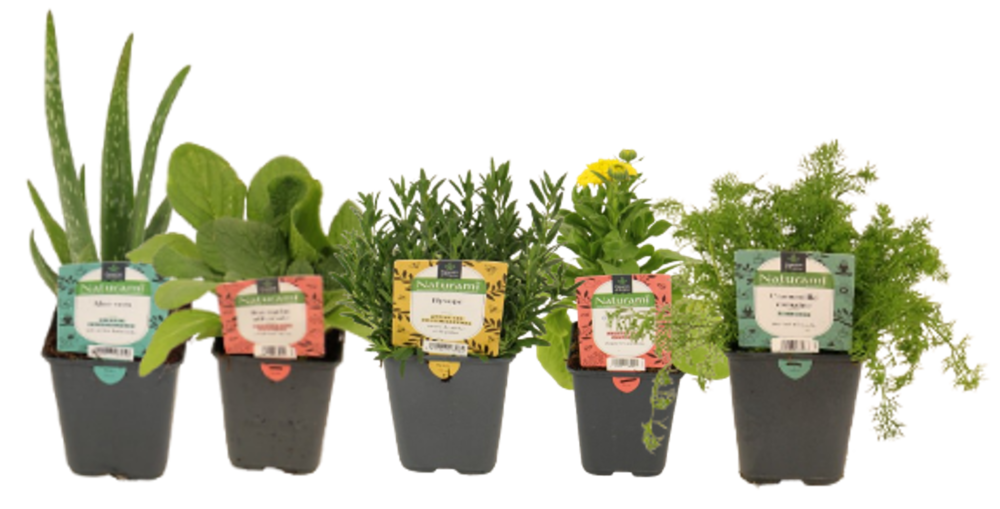 NATURAMI Pot 1 L