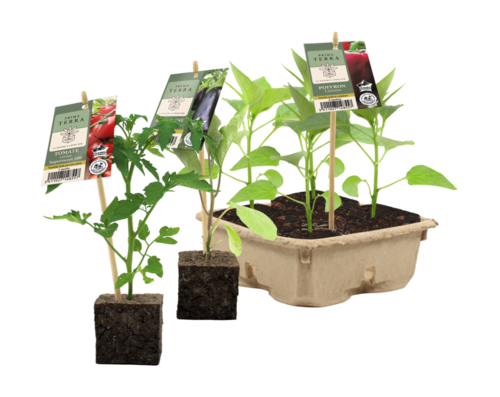 POTAGER PRIMA TERRA