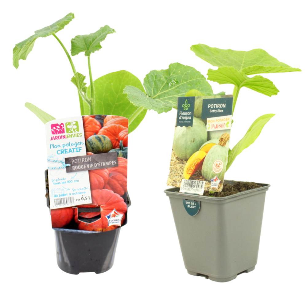 POTIRON Pot 0,5 L
