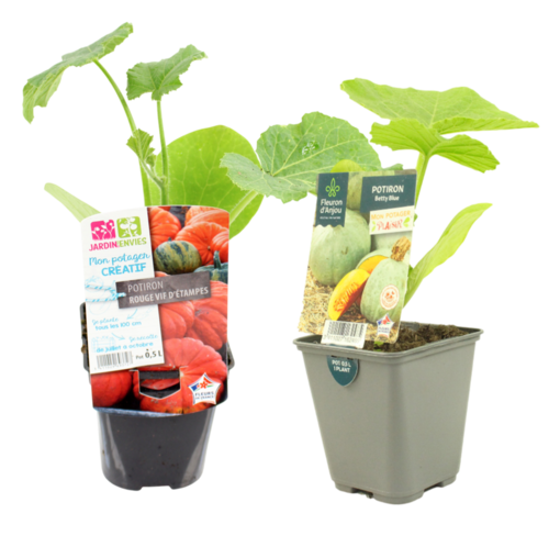 POTIRON Pot 0,5 L
