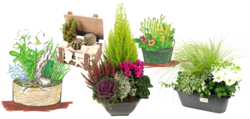 COMPOSITION SUR MESURE