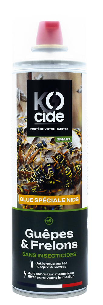 Foudroyant nids guêpes et frelons fix insectes