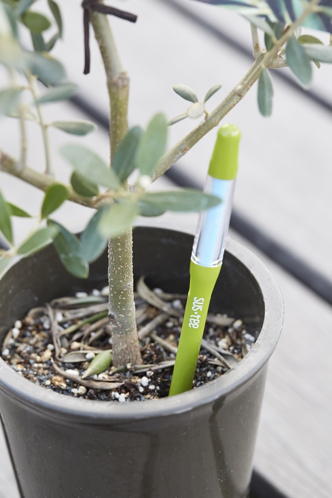 Capteur d’humidité du sol SUStee – Petit format