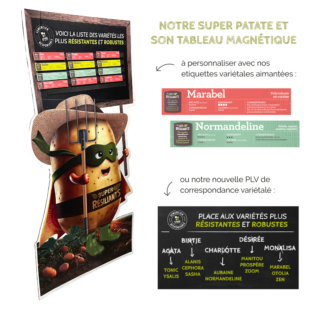 SUPER RESILIENT - Educational POS display for resistant potato varieties