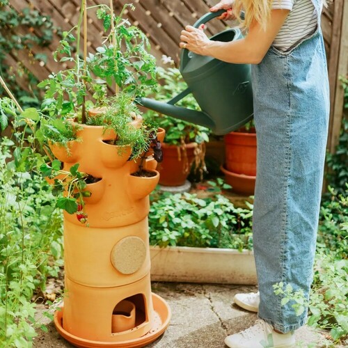 Le potager composteur Ceercle