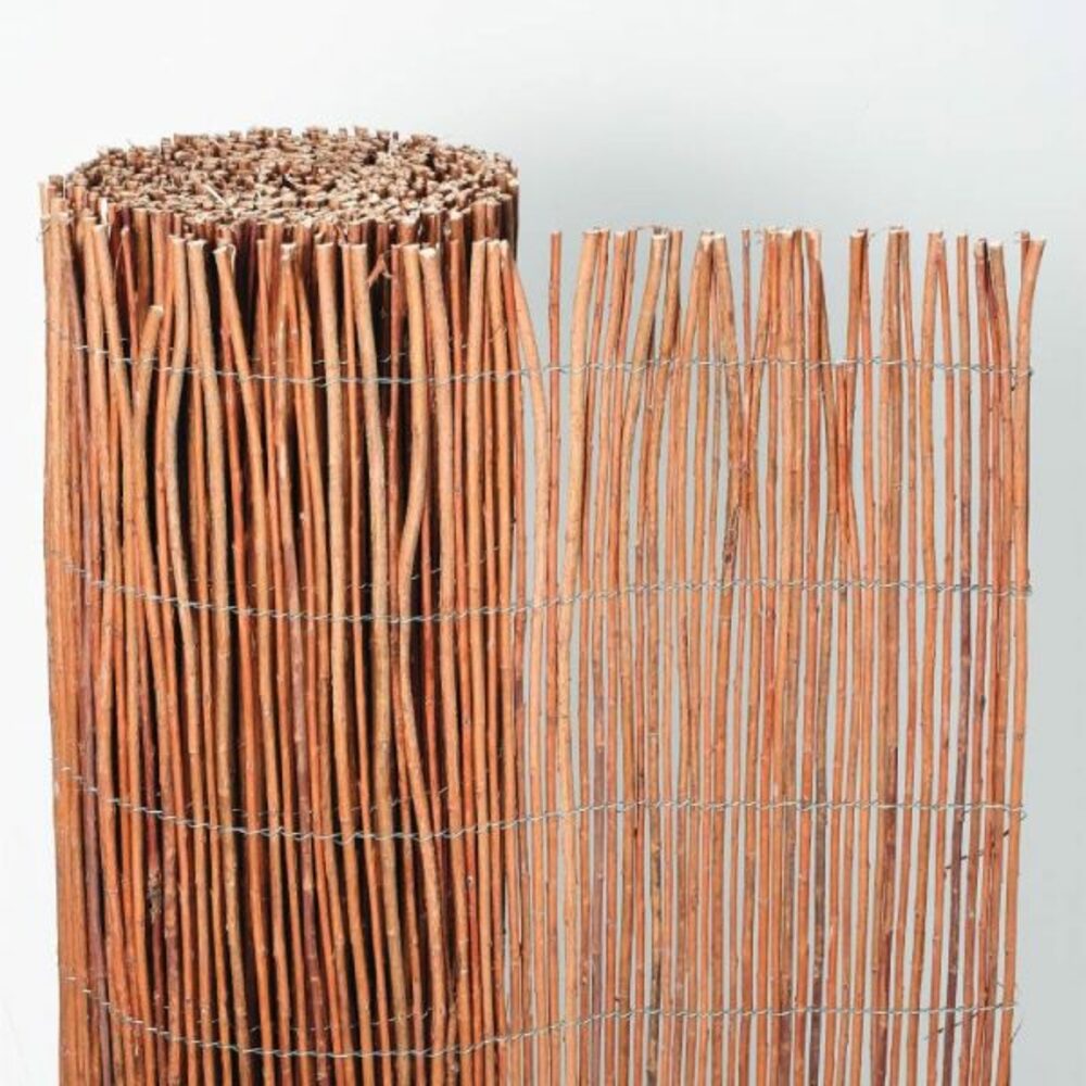 Osier espagnol