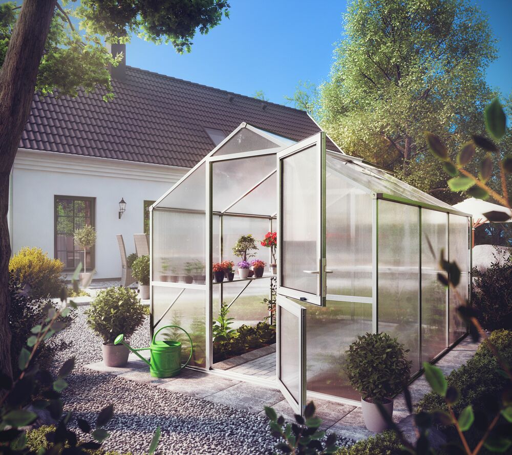 Greenhouse Rose
