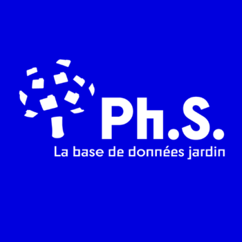 Philippe SIMON
