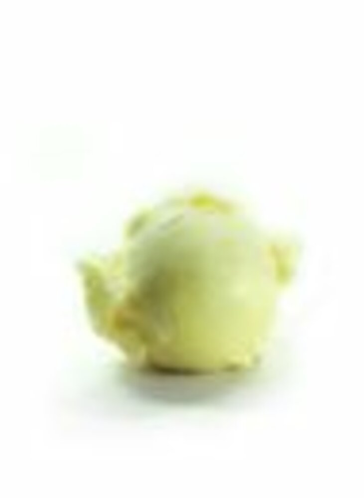 Sorbet ananas 2,5Lx4 MTBG - 279319