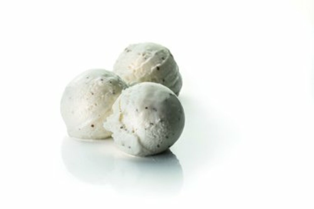 Sorbet citron basilic 2,5Lx4 MTBG - 288518