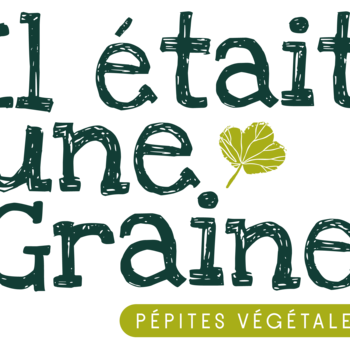 IL ETAIT UNE GRAINE