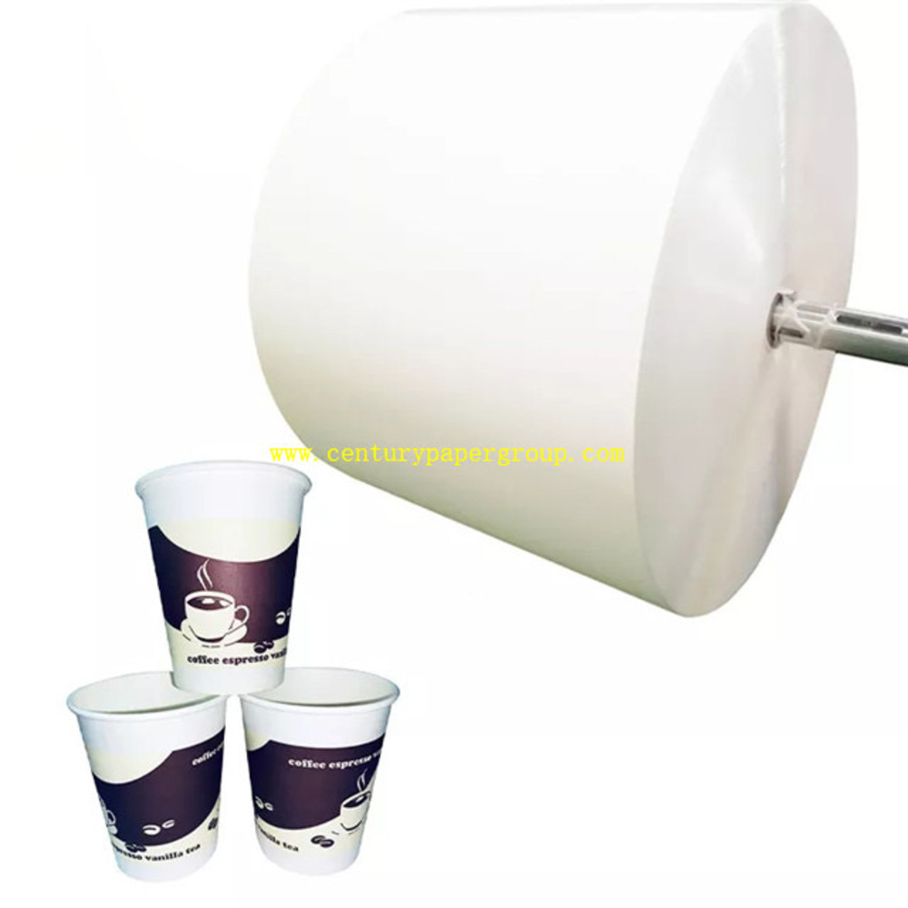 PE coated paper Roll