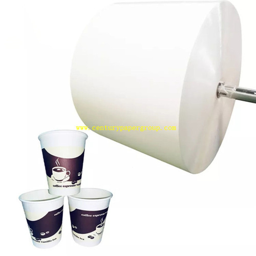 PE coated paper Roll