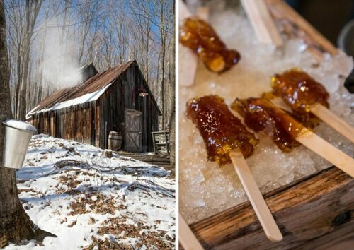 Cabane à sucre